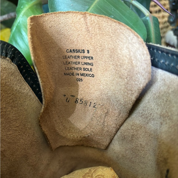 Freebird Cassius 8 - Picture 10 of 11